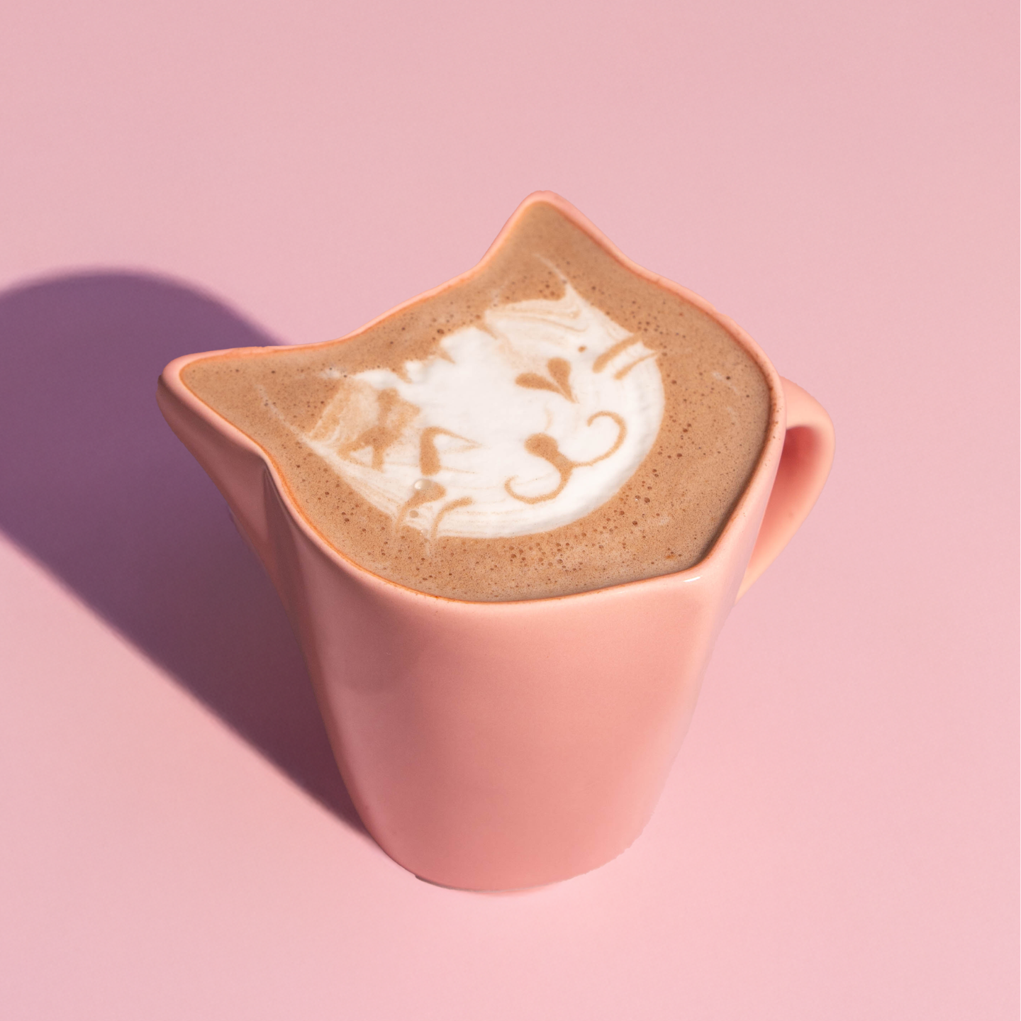 Café especial do Gatinhos Café