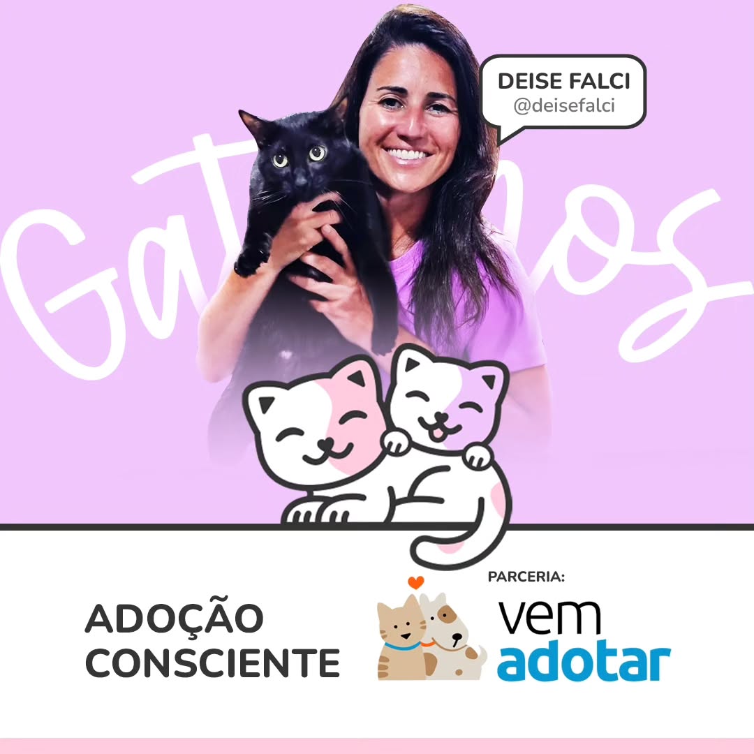 Gatinho para adoção
